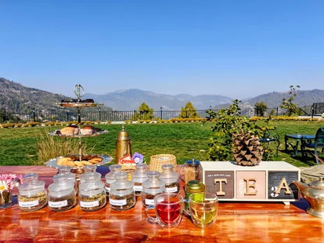 The Chamomile Estate - Tea Tasting Experience (1)