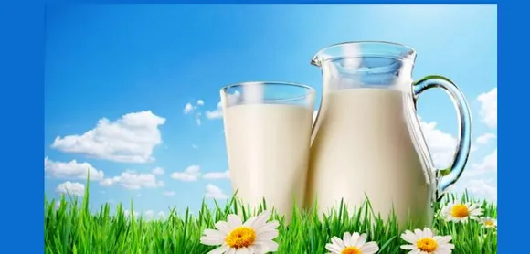A Very Happy International Milk Day