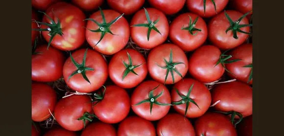 Govt asks Mother Dairy to sell tomatoes at Rs 40 per kg