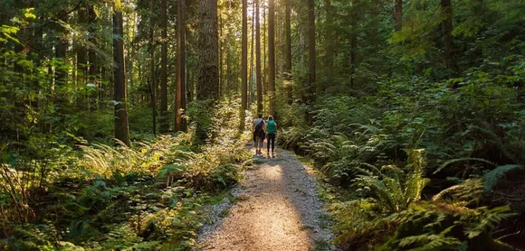 Forest Therapy: Trending in Travel and Tourism…