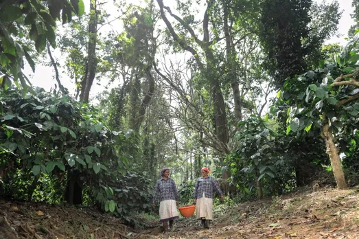 Maverick & Farmer Coffee launches Friends of the Farmer brew sessions