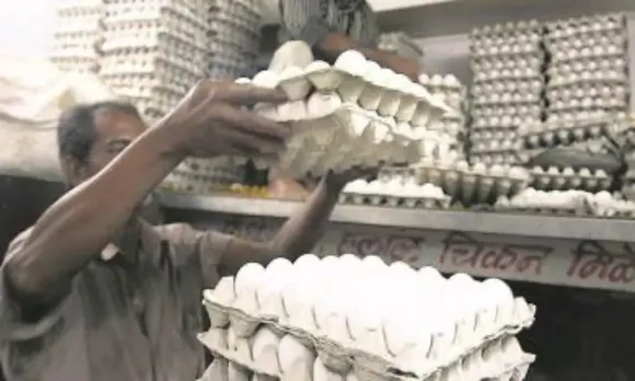 Egg Price Hike, ডিমের দাম বৃদ্ধি