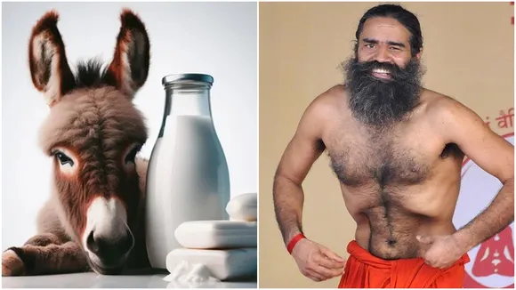 Baba Ramdev Donkey Milk: গাধার দুধে ভিটামিন এ, ভিটামিন ডি, ক্যালসিয়াম এবং পটাসিয়ামের মতো প্রয়োজনীয় ভিটামিন এবং খনিজ রয়েছে