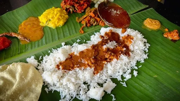 Banala Leaf: কলাপাতায় কেন খাওয়া হয়? এতে খেয়ে কি কোনও লাভ আছে?