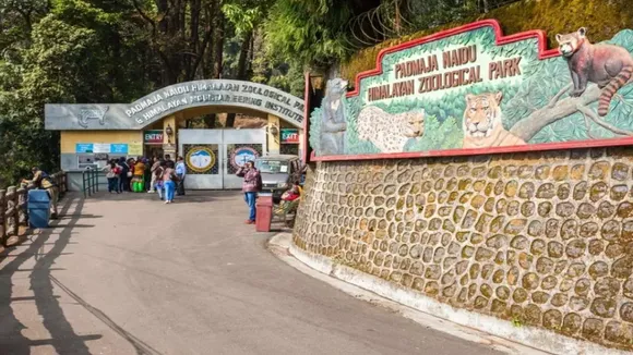 Padmaja Naidu Himalayan Zoological Park,Darjeeling,extreme cold,heaters,west bengal news,পদ্মজা নাইডু হিমালয়ান জুলজিক্যাল পার্ক,দার্জিলিং,হিটার