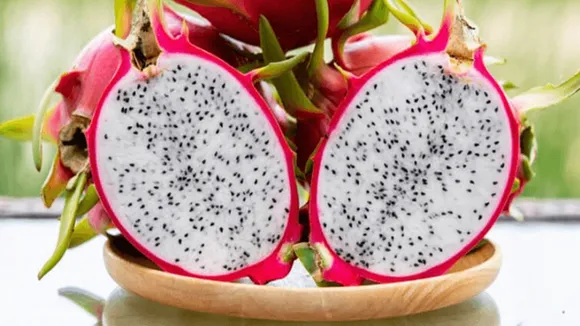 Dragon Fruit Health Benefits: ড্রাগন ফ্রুটে ভিটামিন সি, ক্যালসিয়াম, এবং ফসফরাসের মতো গুরুত্বপূর্ণ পুষ্টিগুণ থাকে