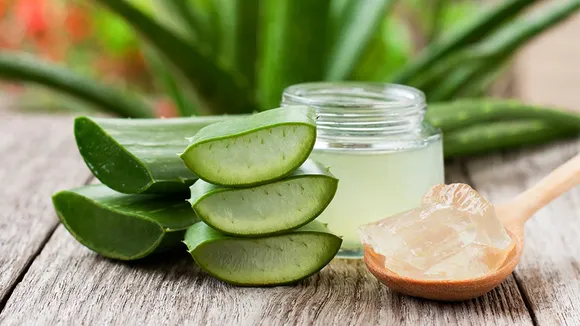 Aloe Vera Benefits: কীভাবে স্বাস্থ্য সম্পর্কিত সমস্যার জন্য অ্যালোভেরা ব্যবহার করবেন