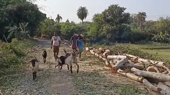 aushgram panchayat