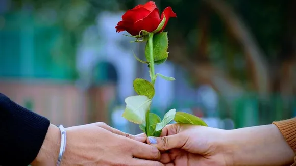 Rose care tips: উপহারে পাওয়া গোলাপ এই সহজ কায়দায় অনেক দিন তাজা রাখতে পারবেন