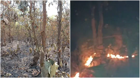 Fire at Ausgram Forest: আগুনের দহনে জঙ্গলে থাকা প্রাণী ও পক্ষীকুলের মৃত্যুর আশঙ্কা দেখা দেওয়ায় উদ্বিগ্ন এলাকাবাসী।