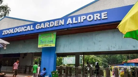 Python returned to Alipore Zoo after surgery