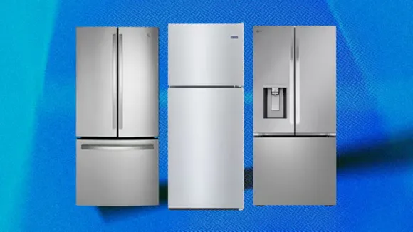 what does litre mean in fridge check details
