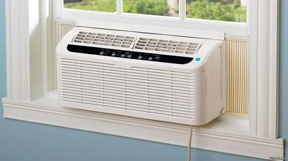Blue Star 1 Ton Portable AC