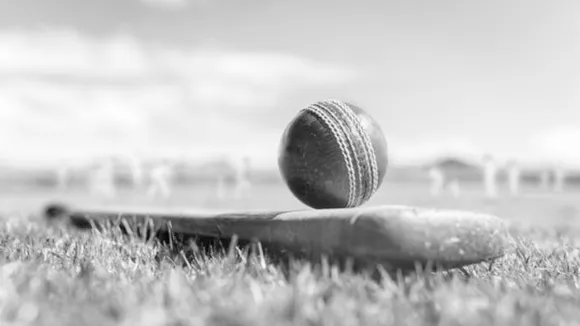 Cricket Image
