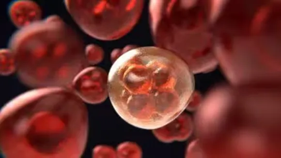 blood-cancer-treatment-9-days-formaldehyde-danger