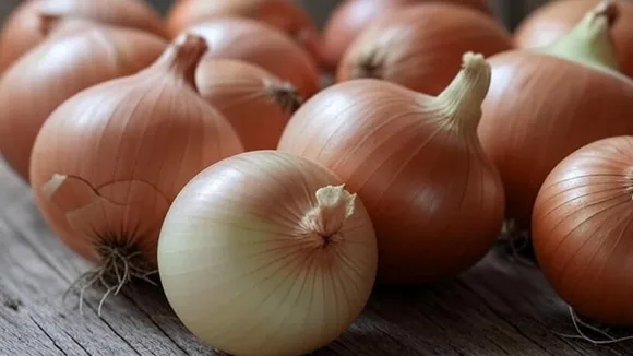 Onions: পেঁয়াজ।