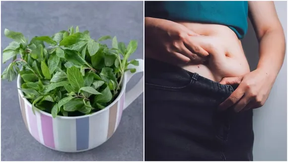 Fat Control Lifestyle: তুলসীতেই করুন ওজন নিয়ন্ত্রণ। 