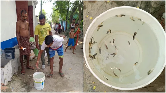 Puratan Malda Municipality  ,Contaminated drinking water  ,Chicken feathers in water , Pigeon feathers in drinking water  ,Water pollution complaint  ,Malda municipal water quality  ,Unsafe drinking water  ,Water supply contamination,পুরাতন মালদহ পুরসভা,  পানীয় জলে দূষণ  ,মুরগির পালক পানীয় জলে,  পায়রার পালক জল,  জল দূষণ অভিযোগ,  পুরাতন মালদহ পৌরসভা জলের গুণমান  ,জল সরবরাহে অস্বচ্ছতা,  পানীয় জলে অশুদ্ধতা