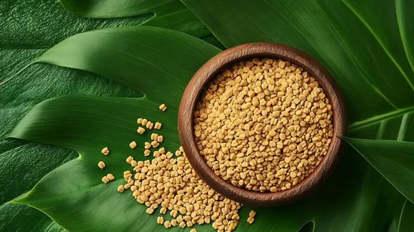 Fenugreek for hair color: মেথি দিয়ে চুলের রং। 
