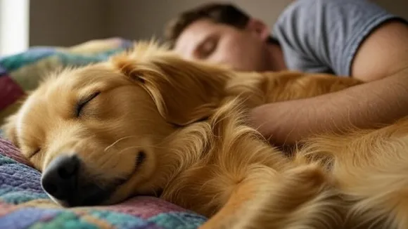 Dog Sleep in Bed