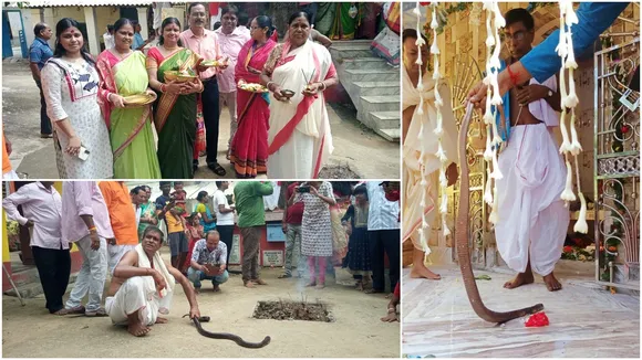 July Asadha Shukla Pratipada snake worship,  live cobra puja Bardhaman villages,  Jhanklai snake deity ritual , human‑snake coexistence tradition  ,poison bite considered prasada,  Jhankeshwari snake goddess worship,  rare ghokra snake veneration,আষাঢ় শুক্লা প্রতিপদ সাপ পূজা,  ঝাঁকলাই দেবী সাপ পুজো  ,কেউটে সাপ পূজা বর্ধমান,  বিষধর সাপ ‘প্রসাদ’ বিশ্বাস  ,মঙ্গলকোট পলসোনা মুশারু গ্রাম,  ঝঙ্কেশ্বরী দেবী সনাতন তীর্থ  ,প্রাণী ও মানুষের একাত্ম বাসস্থান