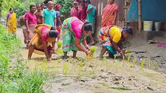 Bamangola Malda women protest paddy saplings road  ,Malda muddy road protest women plant rice saplings , Bamangola road repair demand demonstration,বামনগোলা কাদা রাস্তা প্রতিবাদ,  মহিলা ধানের চারা প্রতিবাদ মালদা  ,রাস্তা পোস্টিং কাদা শিগ্র মেরামত দাবি