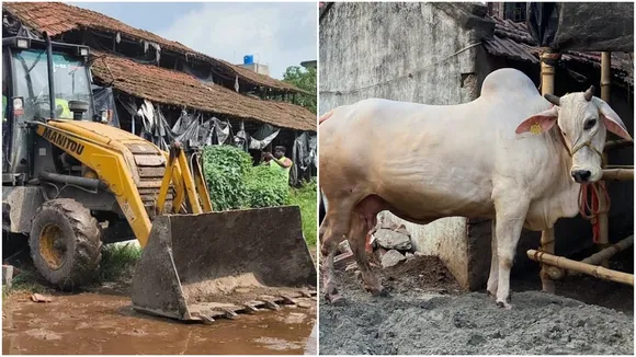 Dankuni khatal eviction, NGT order West Bengal, Hooghly khatal clearance, cattle sheds removal, milk supply impact, Dankuni canal pollution, Kolkata khatal history, court order enforcement, Hooghly administration, drone surveillance eviction