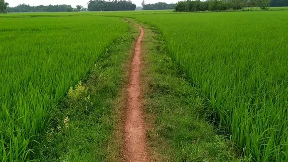 Kakdwip murder case, Kakdwip TMC leader nephew murder,  Rakib Sekh murder Kakdwip  ,TMC panchayat member relative killed , Madhusudanpur paddy field killing,  South 24 Parganas political violence,কাকদ্বীপ তৃণমূল নেতার ভাইপো খুন  ,রাকিব শেখ নিহত,  মধুসূদনপুর ধানক্ষেত হত্যাকাণ্ড,  তৃণমূল পঞ্চায়েত সদস্য আত্মীয় খুন  ,দক্ষিণ ২৪ পরগনা রাজনৈতিক হিংসা