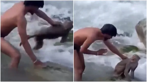 Viral Video
