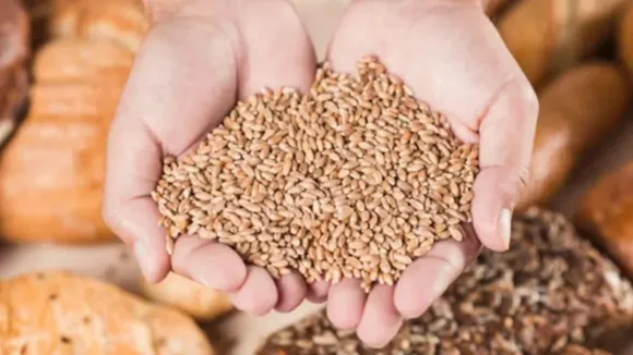 Grain Storage Tips