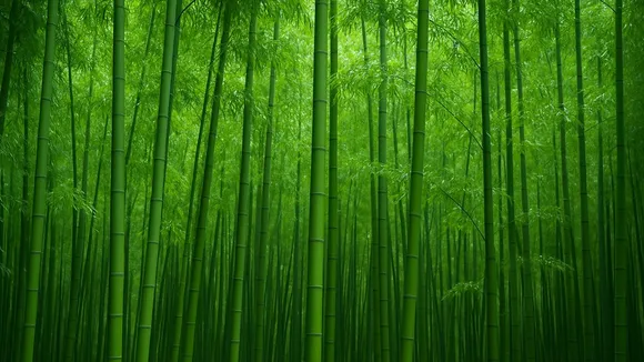 World Bamboo Day
