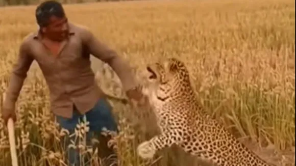 Viral Video