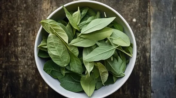 Natural Hair Dye: বাড়িতেই বানান ভেষজ হেয়ার ডাই।