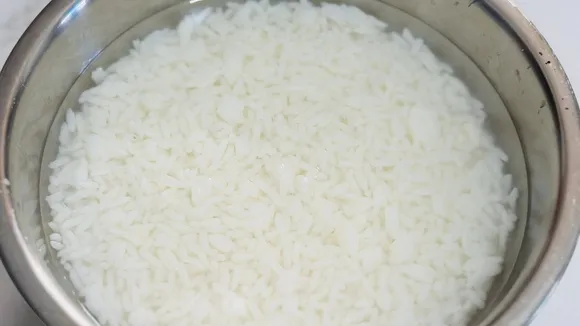 Fermented rice: পান্তা ভাত।