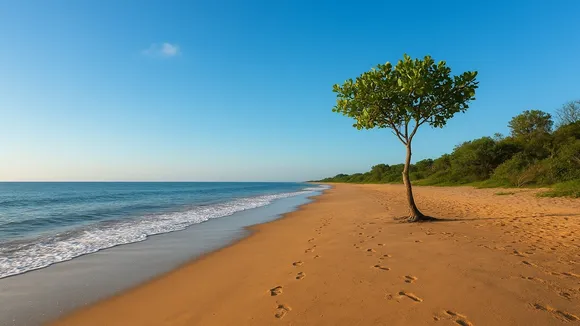 Patibunia beach, new sea beach near Kolkata, South 24 Parganas tourism, Namkhana beach, offbeat sea beach Bengal, weekend getaway, Patibunia tourist spot, weekend destination near Kolkata,পাতিবুনিয়া সৈকত, কলকাতার কাছে নতুন সৈকত, নামখানা পর্যটন, দক্ষিণ ২৪ পরগনা সমুদ্র সৈকত, অফবিট বিচ, চিনাই নদী, পাতিবুনিয়া ভ্রমণ, নতুন বিচ স্পট