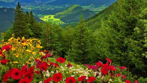 Joychandi Pahar  ,Purulia tourism,  Places near Kolkata  ,Bengal travel,  Adventure trekking Purulia  ,Joychandi Pahar sightseeing,  Weekend getaway, Weekend trips from Kolkata  ,Purulia hills  ,Bengal nature tourism,  Joychandi Temple trek,travel,জয়চণ্ডী পাহাড়,  পুরুলিয়া ভ্রমণ  ,কলকাতার কাছে বেড়ানোর জায়গা,  সপ্তাহান্তে বেড়ানো  ,পুরুলিয়ার পাহাড়,  জয়চণ্ডী মন্দির  ,অ্যাডভেঞ্চার ট্রেকিং পুরুলিয়া  ,বেঙ্গল ট্যুরিজম,  প্রকৃতি ভ্রমণ পশ্চিমবঙ্গ  ,পুরুলিয়া দর্শনীয় স্থান