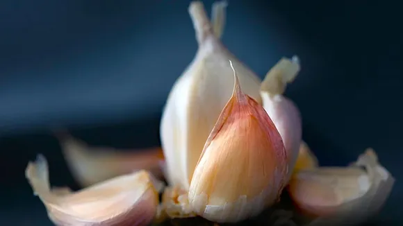 Garlic Health Benefits: স্বাস্থ্যের ওপর রসুনের বিরাট প্রভাব।
