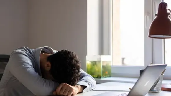 Afternoon Sleep: দুপুরের ক্লান্তি।