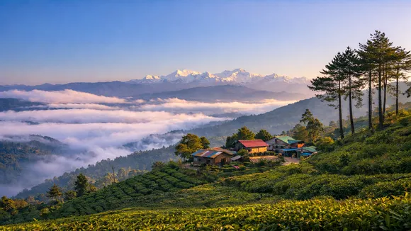Pabung Kurseong,  Offbeat places near Kurseong,  Kurseong hidden village  ,Pabung travel guide,  Offbeat hill destination West Bengal  ,Places to visit near Darjeeling , Kurseong sightseeing  ,Himalayan village tourism  ,Tea garden view Kurseong,  Best offbeat travel in North Bengal,কার্শিয়ঙের পাবং  ,পাবং গ্রাম  ,অফবিট পর্যটন কেন্দ্র  ,কার্শিয়ঙ বেড়ানোর জায়গা  ,দার্জিলিংয়ের কাছে দর্শনীয় স্থান,  পাহাড়ি গ্রাম ভ্রমণ  ,চা-বাগান ও পাহাড় , কাঞ্চনজঙ্ঘা দৃশ্য,  উত্তরবঙ্গ পর্যটন,  নির্জন পাহাড়ি গন্তব্য  ,হোমস্টে পাবং