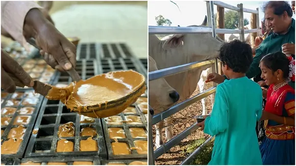 Jaggery Remedies for Wealth: গুড় বদলাতে পারে ভাগ্য।