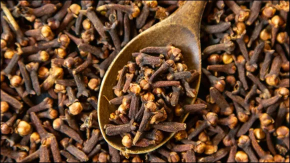 Clove Astrology Remedies: জ্যোতিষশাস্ত্রে লবঙ্গের উপকারিতা সম্পর্কে জানুন।