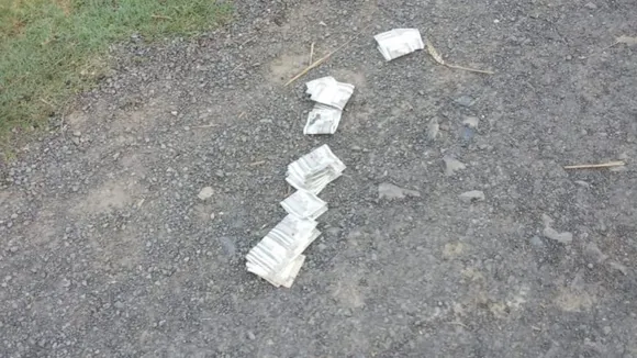 Lucky Money Sign: রাস্তায় পড়ে থাকা টাকার সঙ্গে কি ভাগ্যের যোগাযোগ রয়েছে?