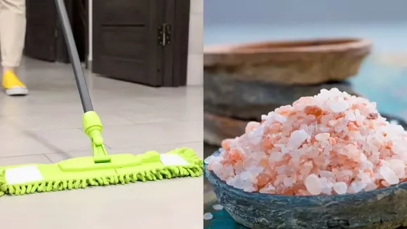 Vastu Cleaning Rules: ঘর মোছার সময় বাস্তুর এই নিয়মগুলো মেনে চলুন।