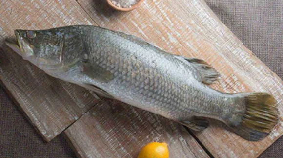 first bekti hatchery in bengal is on way