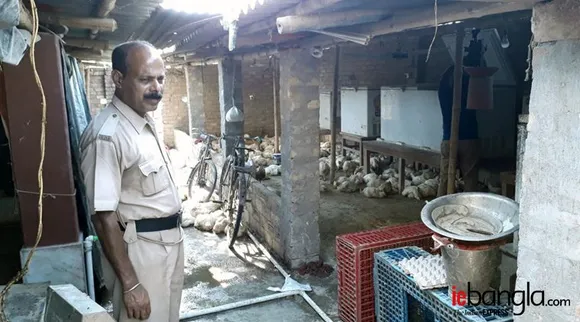 rotten meat, kolkata