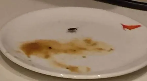 cockroach