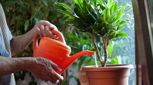 আজ বিশ্ব ধরিত্রী দিবস।