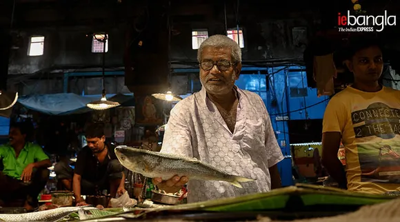 hilsa, ইলিশ, fish, মাছ, crisis, ইলিশ মাছ সংকট, West Bengal, পশ্চিমবঙ্গ, Bay of Bengal, বঙ্গোপসাগর, গঙ্গা, ilisha, মাছের বাজার, Ganga, বাজার, government, তৃণমূল, TMC government, মমতা ব্যানার্জি