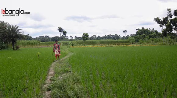 Samapti Mandal, সমাপ্তি মণ্ডল, lady farmar, মহিলা চাষি, women farmar, জমি চাষ, farmar, কৃষক, Habra, হাবড়া, farmar work, চাষের কাজ, Westbengal, পশ্চিম বঙ্গ, Geography, ভূগোল