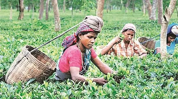 Pujo Bonus, Bonus for Women